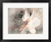 Framed Abstract Peony