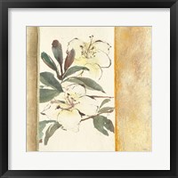 Framed Ochre Rhododendron