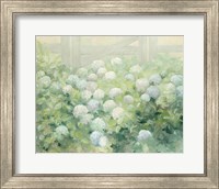 Framed Hydrangea Lane