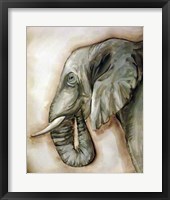 Elephant Portrait Framed Print