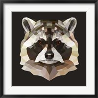 Framed Raccoon