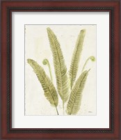 Framed 'Forest Ferns II v2 Antique' border=