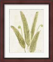 Framed 'Forest Ferns II v2 Antique' border=