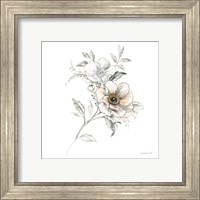 Framed 'Sketchbook Garden VII' border=