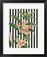 Herbal Botanical XXVI Bold Framed Print