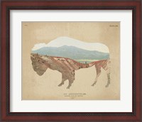 Framed 'American Southwest Buffalo Distressed' border=