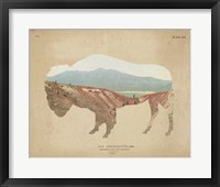 Framed American Southwest Buffalo Distressed