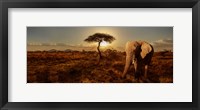 Framed Elephant and Tree