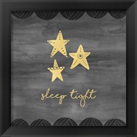 Framed 'Good Night Sleep Tight II' border=