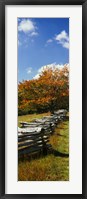 Framed Fence in a Park, Blue Ridge Parkway, Virginia