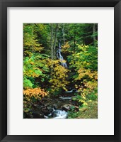 Framed Moss Glen Falls, Granville Reservation State Park, Vermont