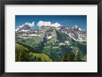 Framed Trees on a Mountain, Crested Butte, Colorado