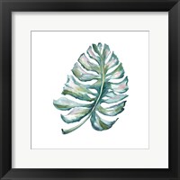 Island Leaf I Framed Print