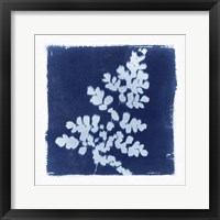 Flora Cyanotype I Framed Print