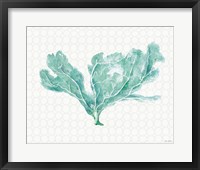 Mixed Greens XXIX Framed Print