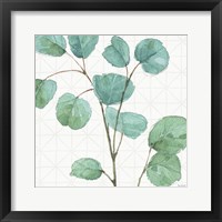 Mixed Greens LII Framed Print