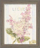 Framed 'Floursack Florals V' border=