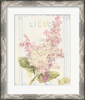 Framed 'Floursack Florals V' border=