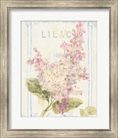 Framed 'Floursack Florals V' border=