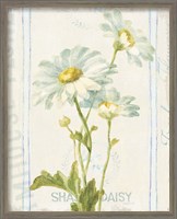 Framed 'Floursack Florals III' border=