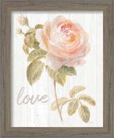 Framed 'Garden Rose on Wood Love' border=