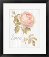 Garden Rose on Wood Love Framed Print