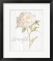 Garden Peony on Wood Strength Framed Print