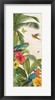 Parrot Paradise VI Framed Print