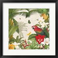 Framed Parrot Paradise III