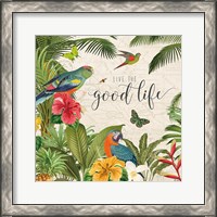 Framed 'Parrot Paradise IV' border=