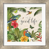 Framed 'Parrot Paradise IV' border=