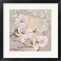 Framed Blushing Magnolias