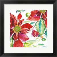 Poinsettia Pretty II Framed Print