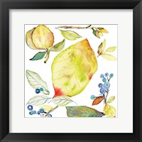 Harvest Rush I Framed Print