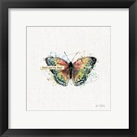 Framed 'Thoughtful Butterflies I' border=