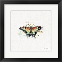 Framed 'Thoughtful Butterflies IV' border=