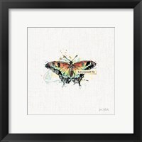 Framed 'Thoughtful Butterflies IV' border=