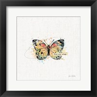 Framed 'Thoughtful Butterflies II' border=