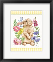 Sunny Bunny III Checker Border Framed Print
