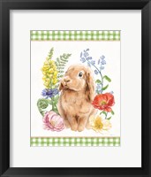 Framed Sunny Bunny I Checker Border