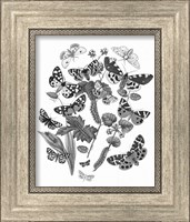 Framed 'Butterfly Bouquet IV Linen BW IV' border=