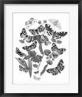 Butterfly Bouquet IV Linen BW IV Framed Print