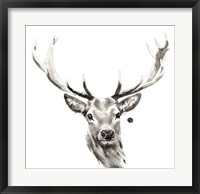 Framed Elk