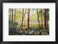 Framed Forest Edge