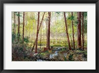 Framed Forest Edge