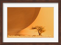 Framed Namib-Naukluft National Park, Namibia