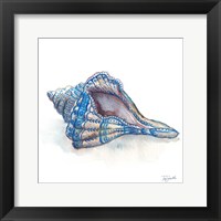 Bohemian Shells V Framed Print