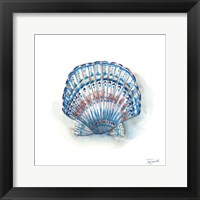 Bohemian Shells VII Framed Print