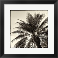 Framed Palm Tree Sepia I