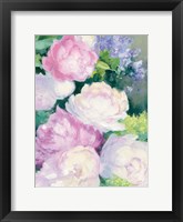 Summer Delight II Framed Print